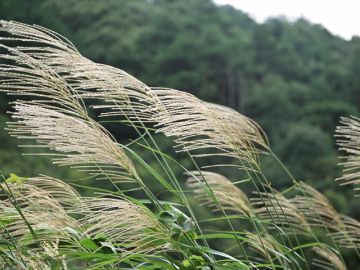 あかえビューティールーム