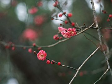 美容室ボブ・マリー